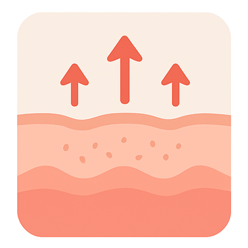 Infographic demonstrating the stimulation of new collagen and elastin