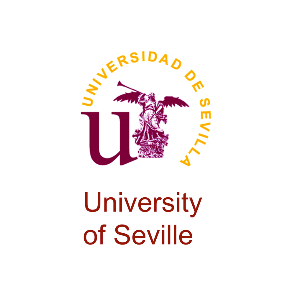 University of Seville Facial Aesthetics Professorship