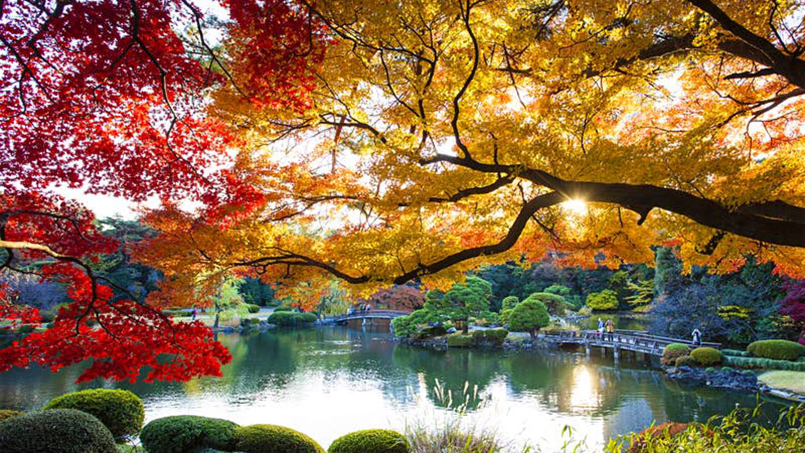 autumn